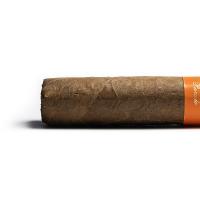 Casa 1910 Revolutionary Edition Cuchillo Parado Robusto Cigar - 1 Single